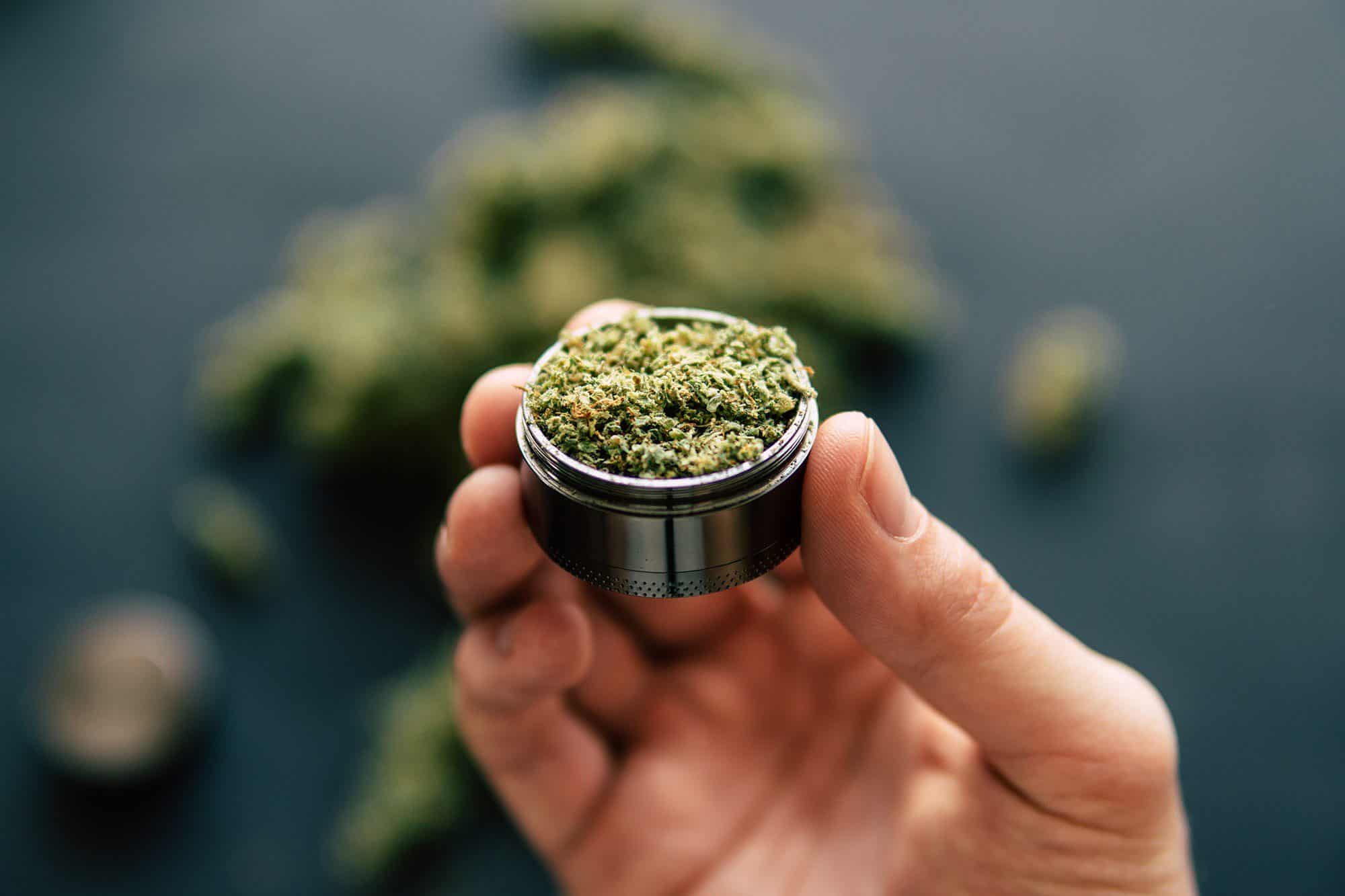 THC-GRENZWERTE FÜR NUTZHANF IN DER EU