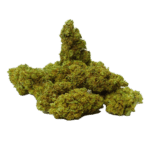 Girl Scout Cookies - CBD Blüten