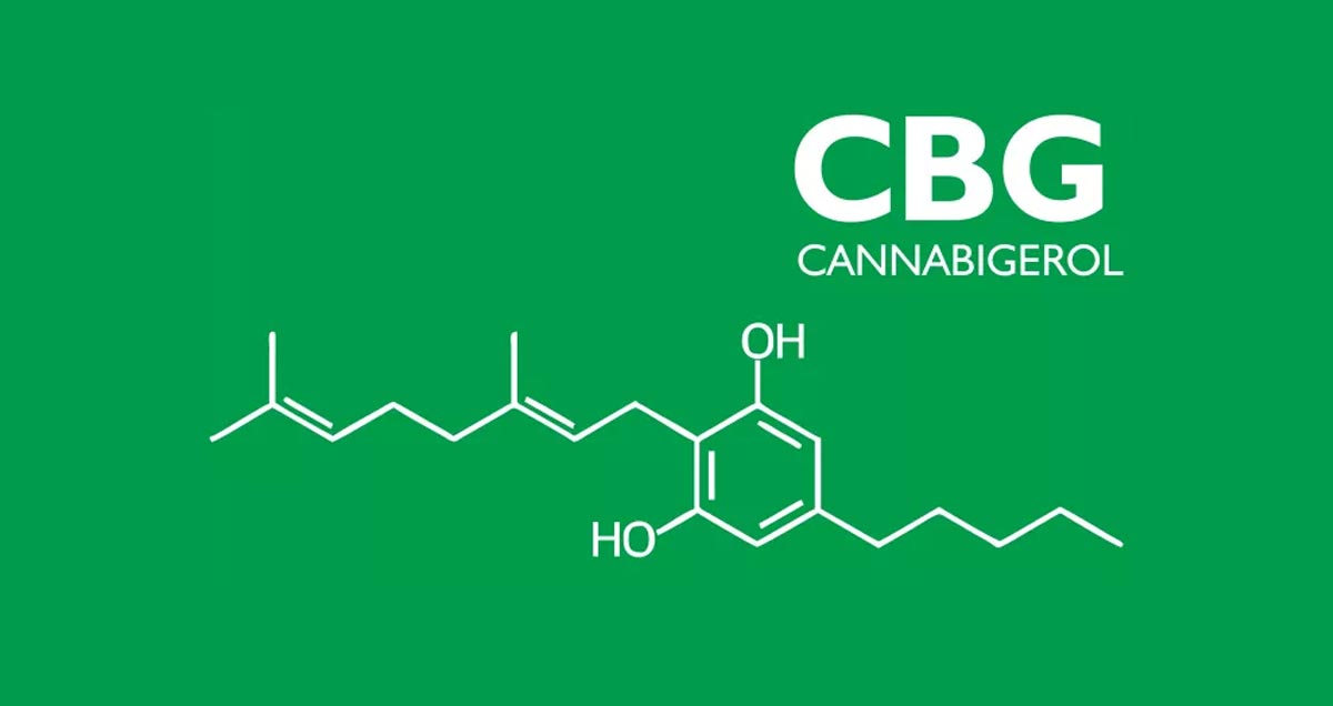 WAS IST CBG (CANNABIGEROL)?