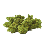 Skywalker OG - CBD Blüten