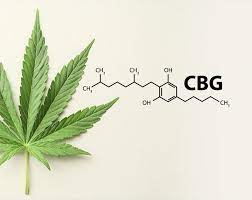 CBG Blüten: Das nächste Cannabinoid ?