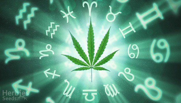 Das Cannabuben Cannabis-Horoskop. Finde heraus, welches Weed zu welchem Sternzeichen passt.