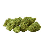Amnesia Haze - CBN Blüten