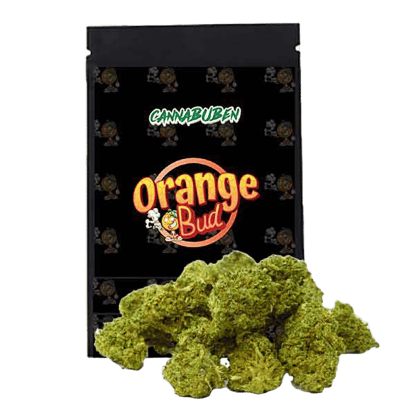 Orange Bud x H4+