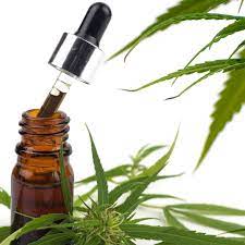 CBD Öl 10% – Was ist das