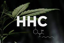 Wo kann ich HHC Blüten in Regensburg kaufen? – Cannabuben