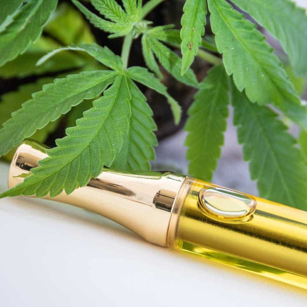 CBD vs. CBN: Was ist der Unterschied?