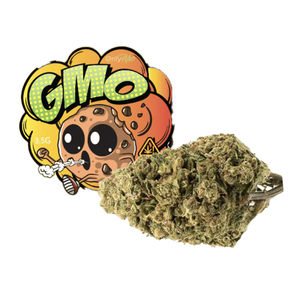 GMO x HHC Blüten x OnlyHHC