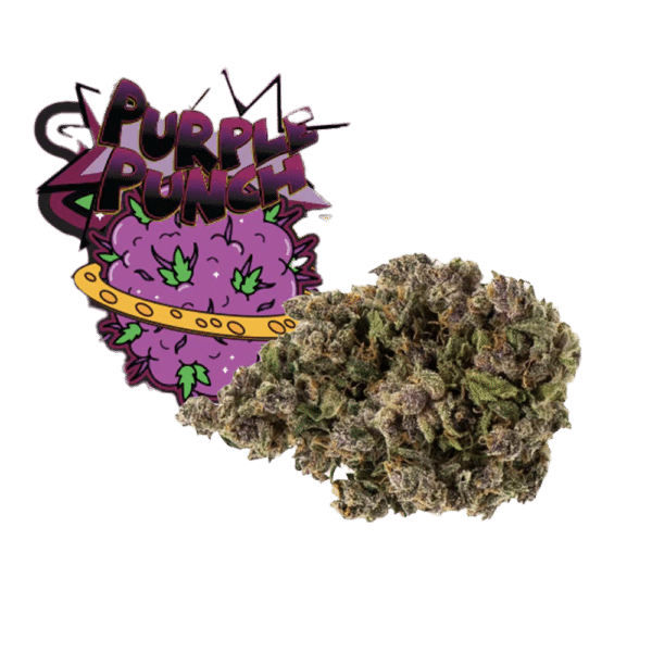 Purple Punch x HHC Blüten x OnlyHHC