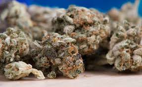 HHC Weed: Der ultimative Leitfaden zur revolutionären Cannabinoid
