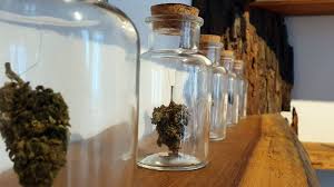 CBD Dresden: Die Vorteile und Möglichkeiten von CBD-Produkten in Dresden