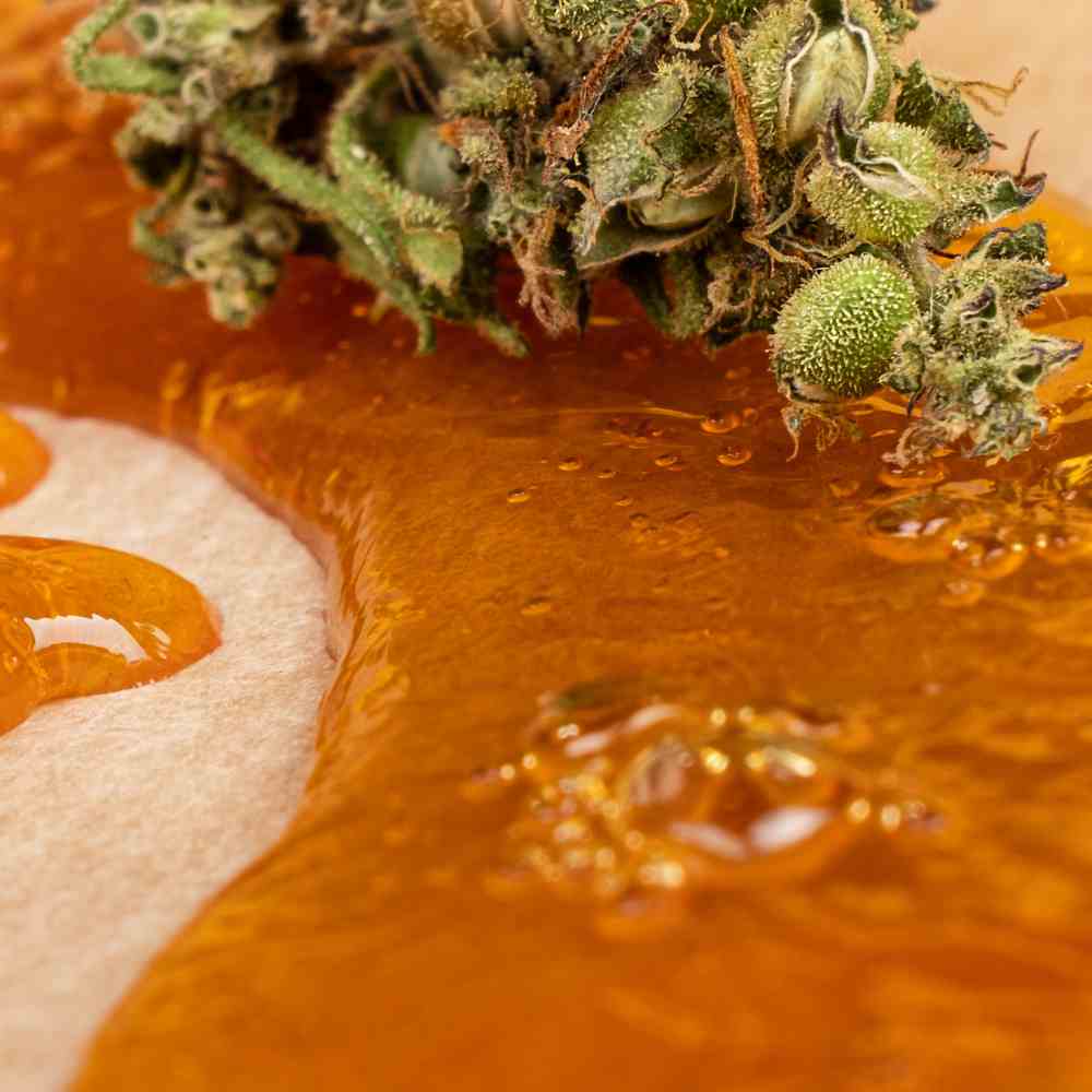 Methoden zur Extraktion von Terpenen aus Cannabis