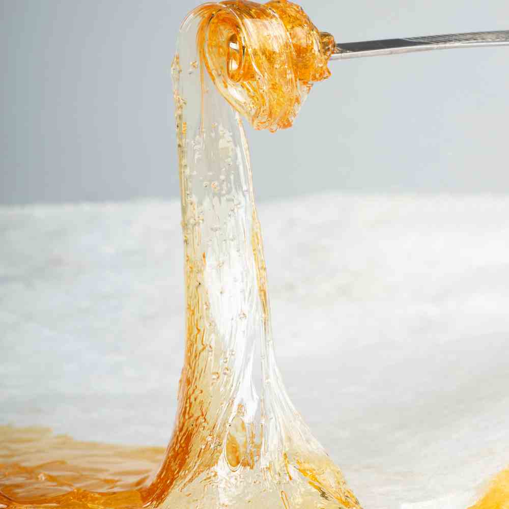 Beliebte Terpensorten in der Cannabiswelt