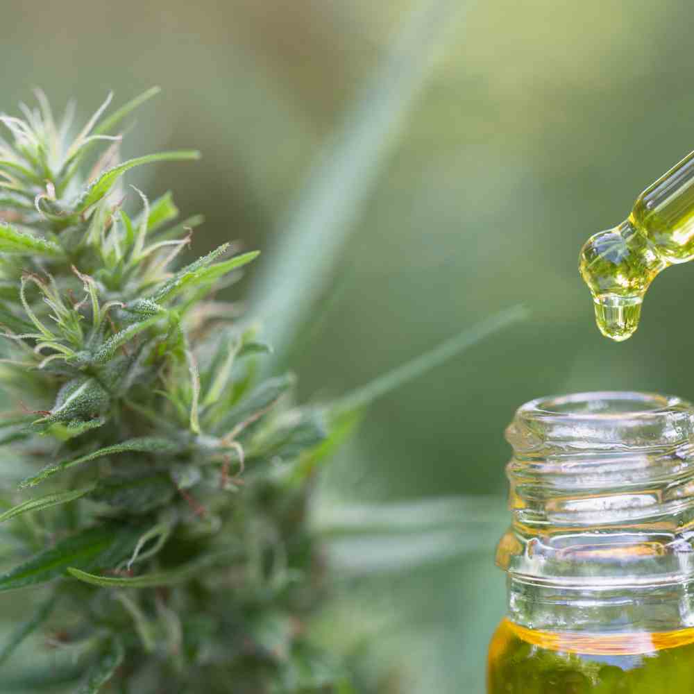 Effektives CBD Öl für eine natürliche Unterstützung - Entdecken Sie unsere Produkte!