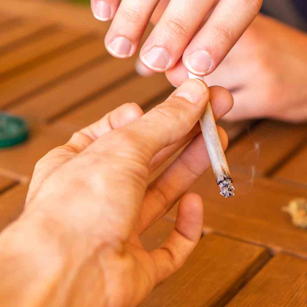 Entdecke die besten Spliffs: Eine Auswahl von hochwertigen Kräutermischungen