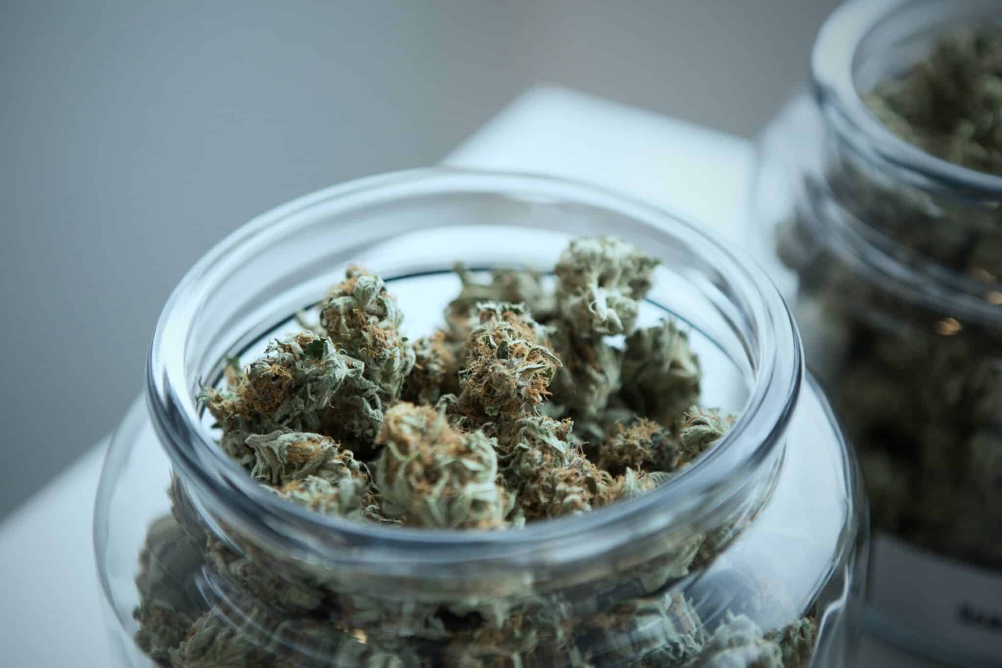 CBD Blüten kaufen Bielefeld: Hochwertige CBD Produkte in Ihrer Stadt