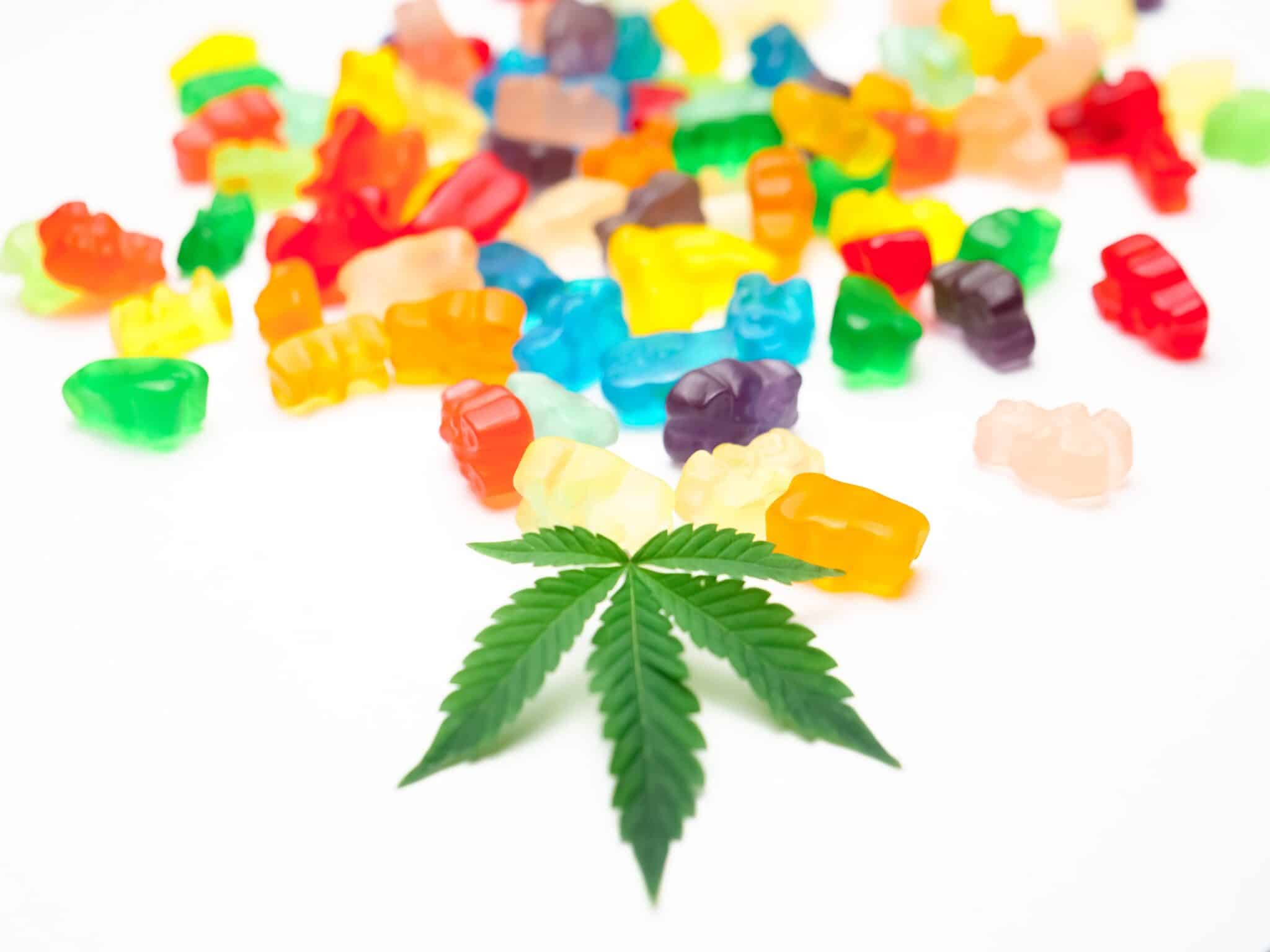 CBG Blüten Rezepte: Entdecke leckere & gesunde Ideen für Dich!