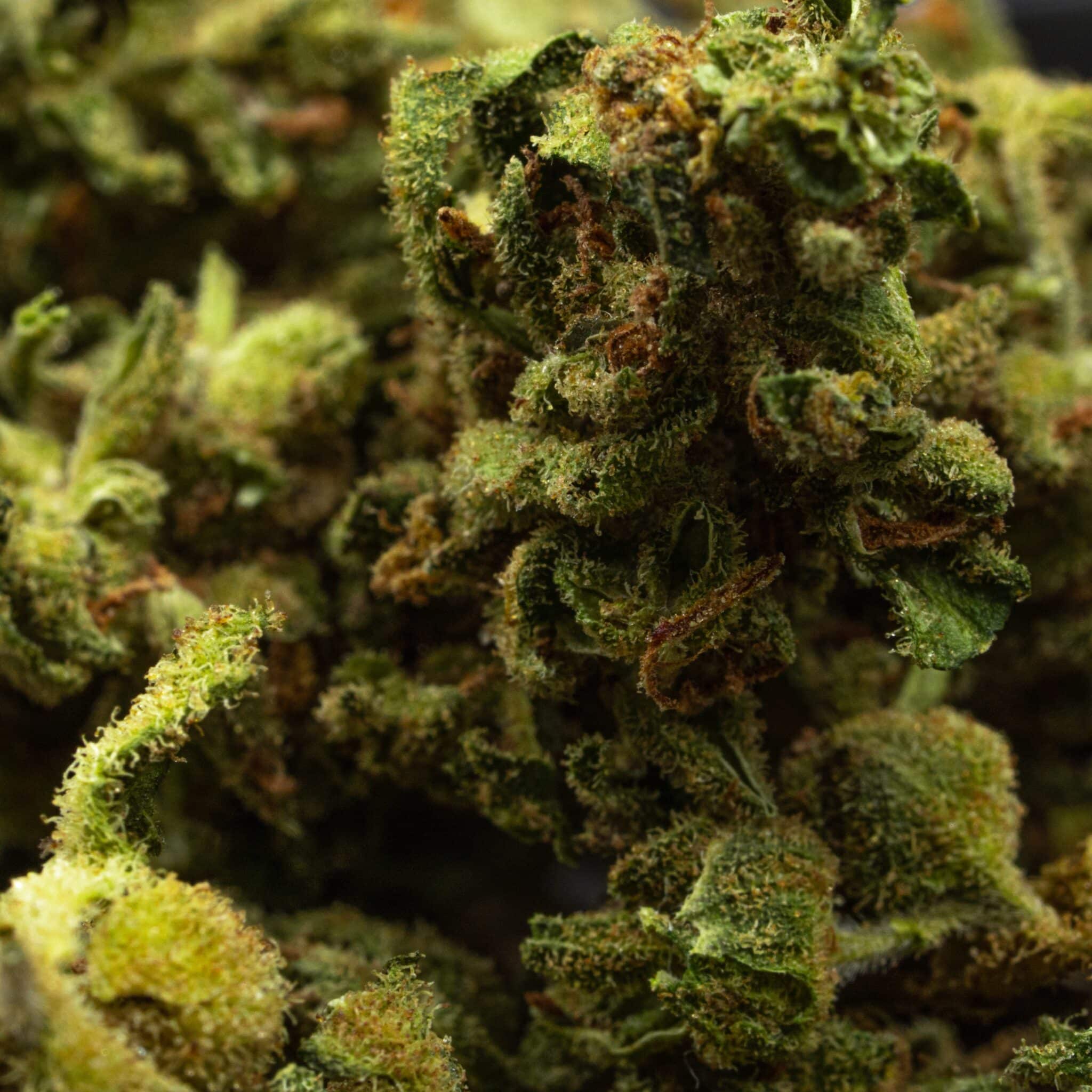 CBD Öl Kaufen Bonn: Entdecken Sie beste Qualität und Auswahl.