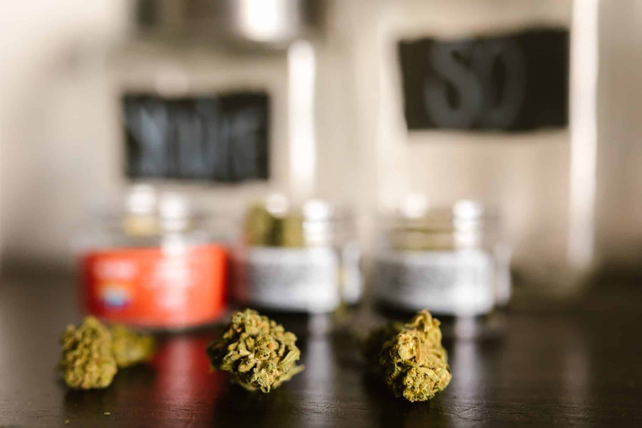 Meinungen über H4CBD Blüten: Erfahrungen und Berichte