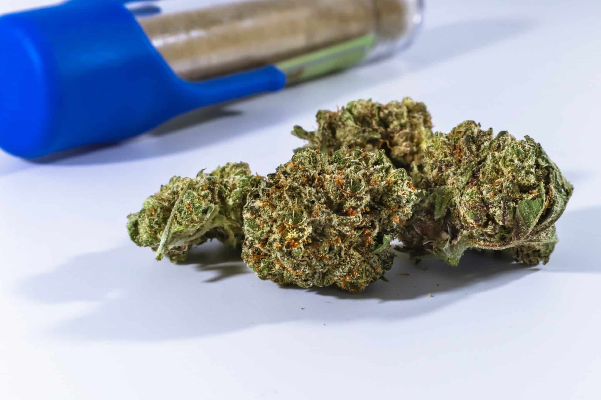 CBD Öl Kaufen Bremen: Natürlich, Sicher & Qualitativ hochwertig.
