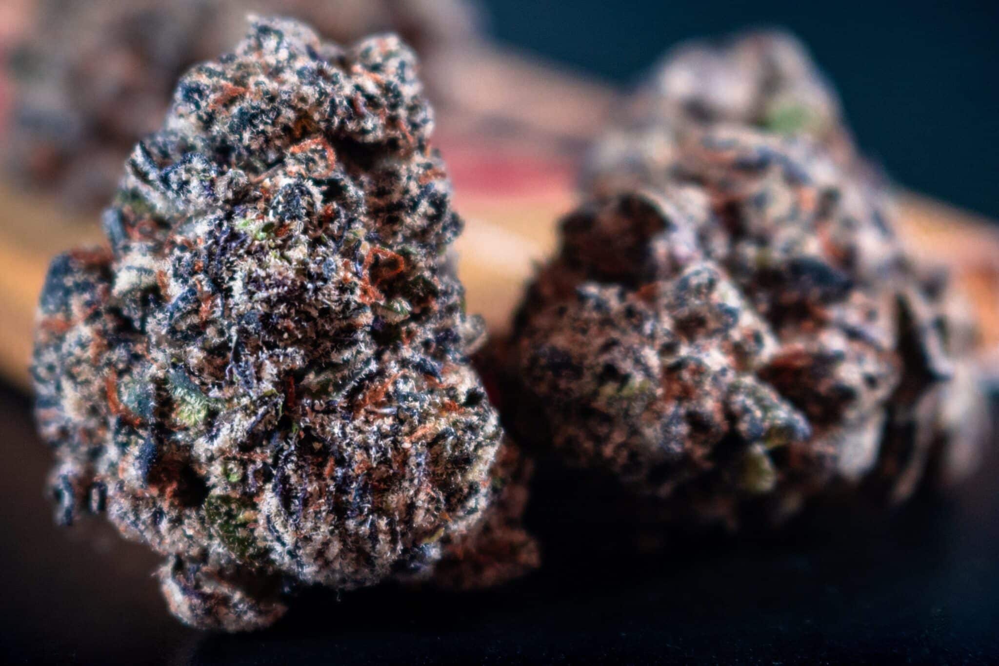 CBD Öl Kaufen Mannheim – Natürliche Lösung für Wohlbefinden