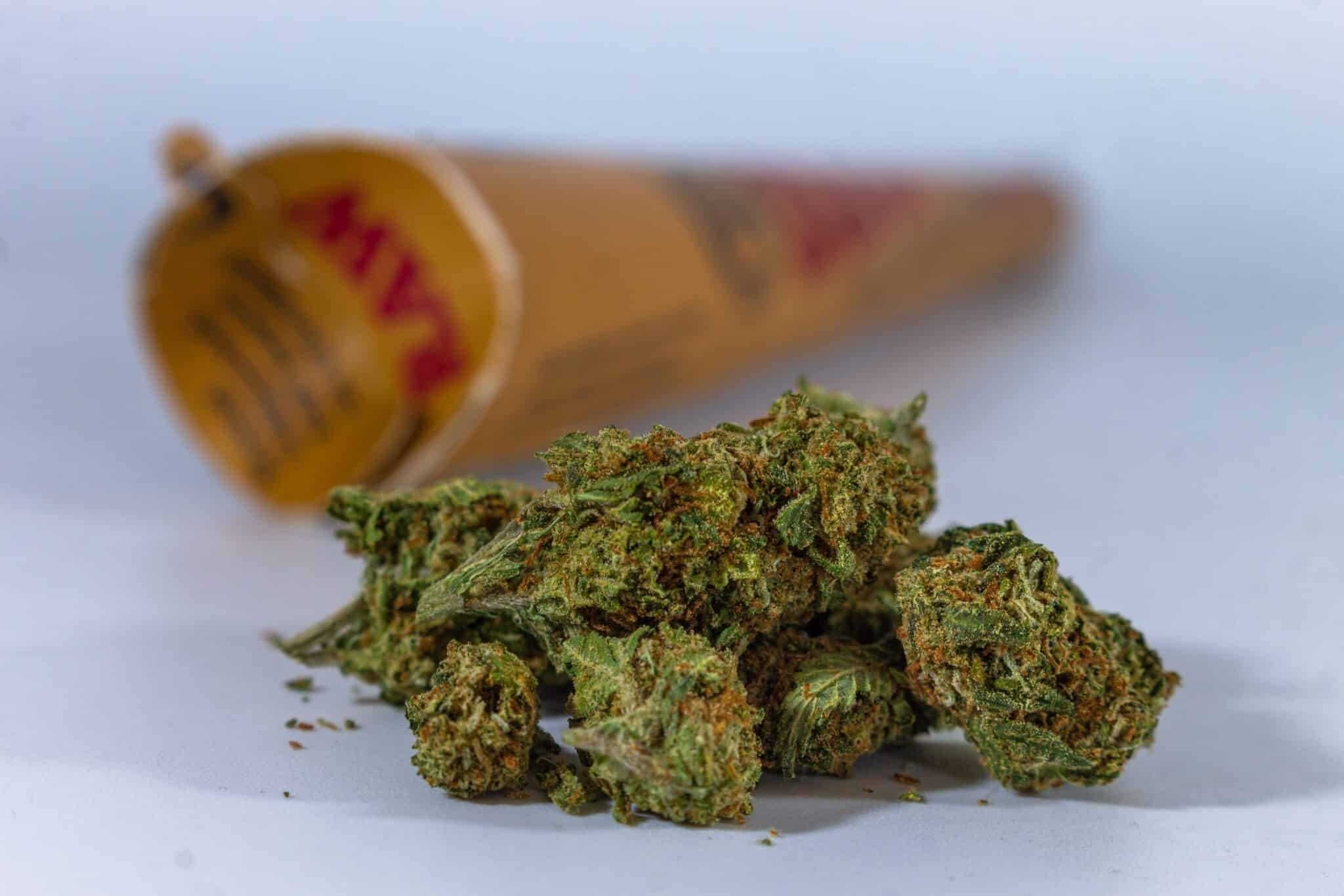 Entdecken Sie jetzt Legale H4CBD Blüten für natürliche Wellness.