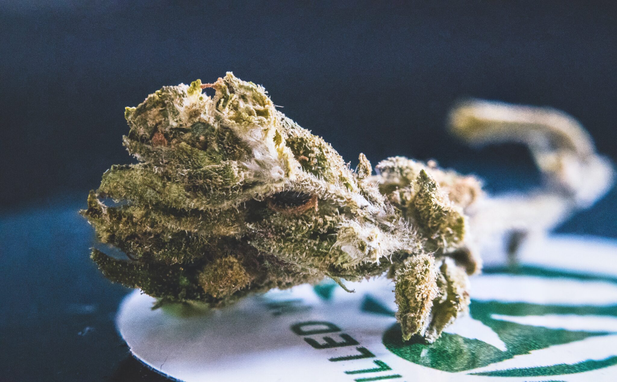 CBD Öl Kaufen Dortmund: Entdecken Sie hochwertige Produkte!