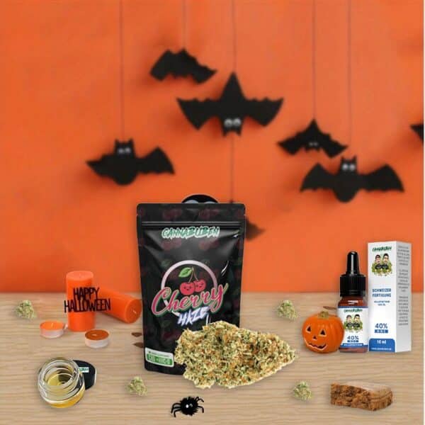 Trick or Treat Bundel