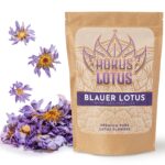 Blauer Lotus - Hokuslotus