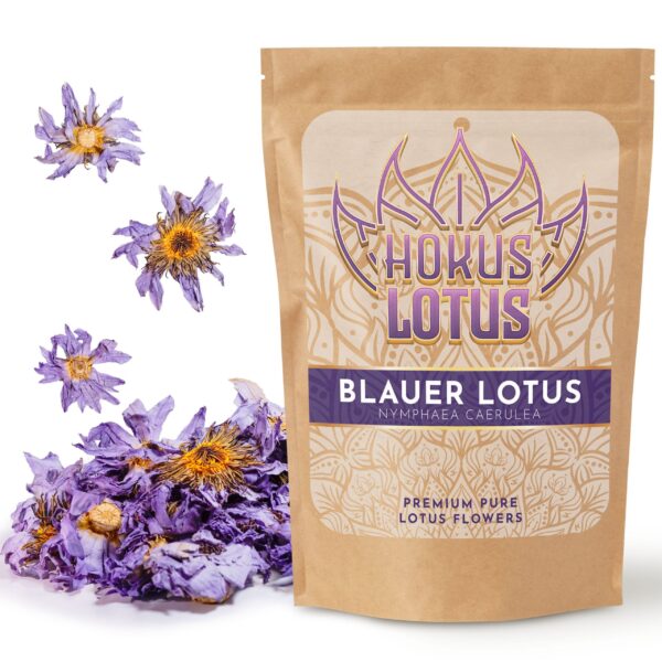 Blauer Lotus - Hokuslotus